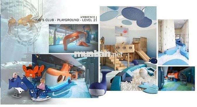 Chỉ từ 45 triệu/m2 - Căn hộ cao cấp cần trung tâm thành phố Đà Nẵng