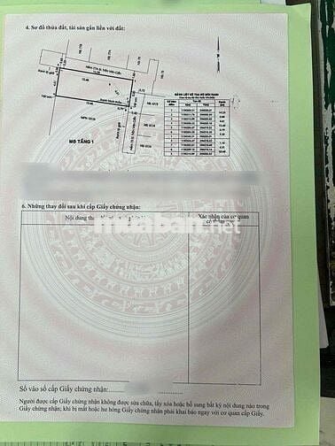 ĐẤT PHÂN LÔ FO CHÍNH CHỦ  LƯƠNG THẾ VINH