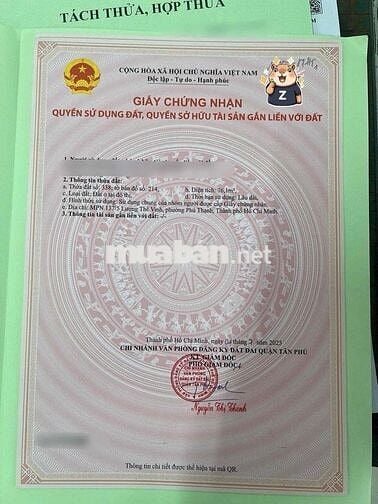 ĐẤT PHÂN LÔ FO CHÍNH CHỦ  LƯƠNG THẾ VINH