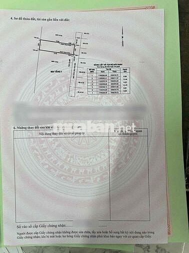 ĐẤT PHÂN LÔ FO CHÍNH CHỦ  LƯƠNG THẾ VINH