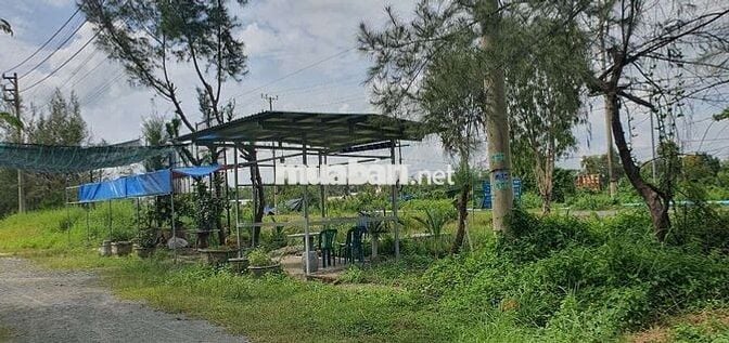 Đường N2 khu dân cư Daresco ngay cầu thầy cai gần vin Hậu Nghĩa