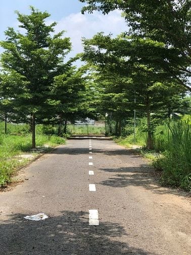 Đất ở 117,9m² - xã Trảng Bom, tỉnh Đồng Nai- Giá 890 triệu - Gần Nguyễ