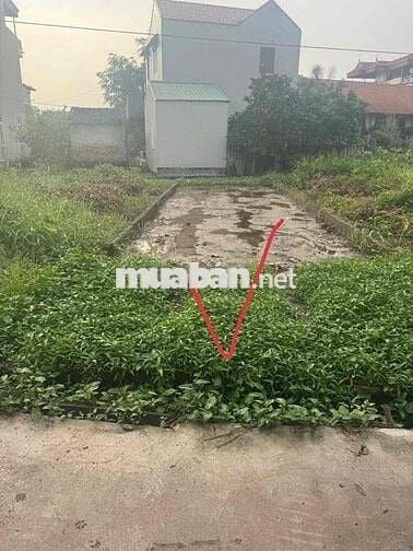 BÁN ĐẤT CHƯƠNG DƯƠNG, THƯỜNG TÍN ĐƯỜNG XE TẢI, 80M, GIÁ 3,3 TỶ