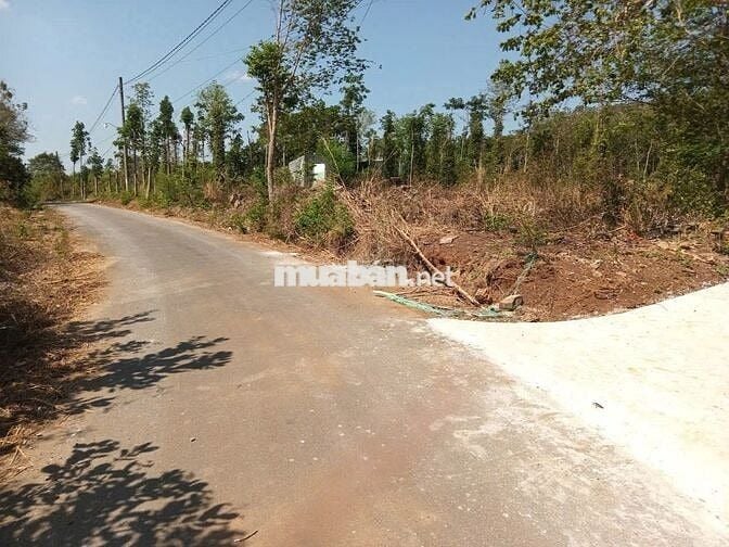 Bán hơn 2000m2 đất thổ ngang 48m trong khu trung tâm tt Ngãi Giao