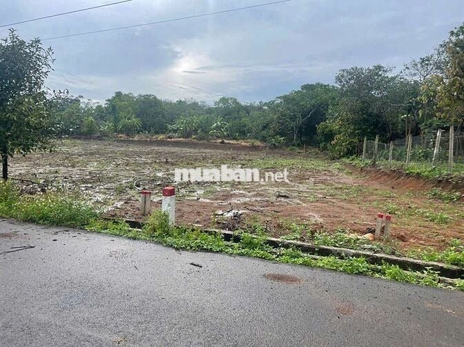 Cực rẻ, đất xà bang , châu đức, bà rịa vũng tàu