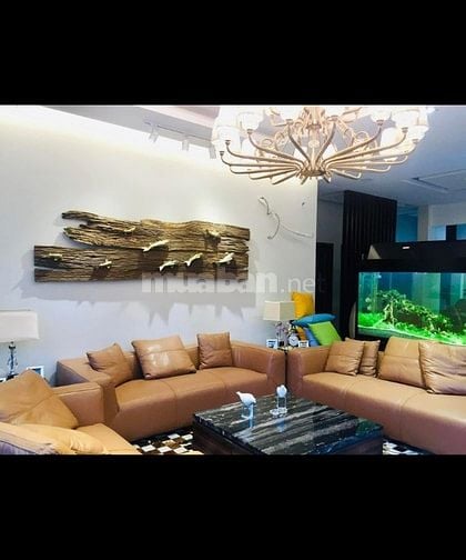 Bán biệt phủ măt tiền đường 20m 793 Trần Xuân Soạn P.Tân Hưng Q.7.