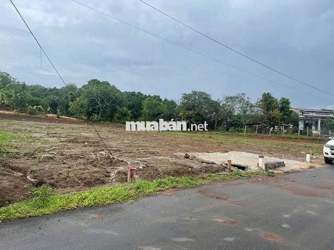 Cực rẻ, đất xà bang , châu đức, bà rịa vũng tàu