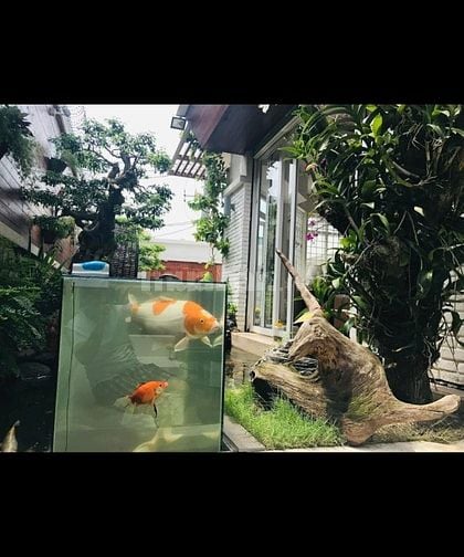 Bán biệt phủ măt tiền đường 20m 793 Trần Xuân Soạn P.Tân Hưng Q.7.
