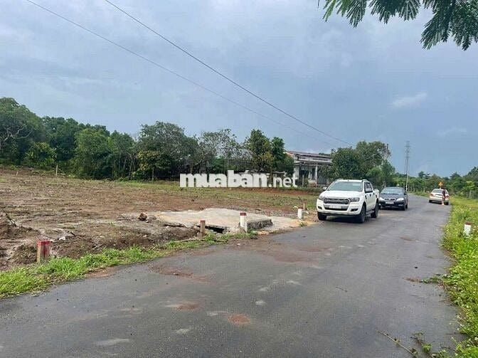Cực rẻ, đất xà bang , châu đức, bà rịa vũng tàu