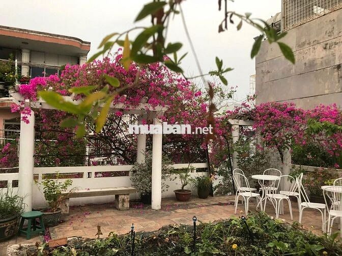 CHO THUÊ BIỆT THỰ CỔ QUẬN 3 CÓ SÂN VƯỜN SIÊU RỘNG