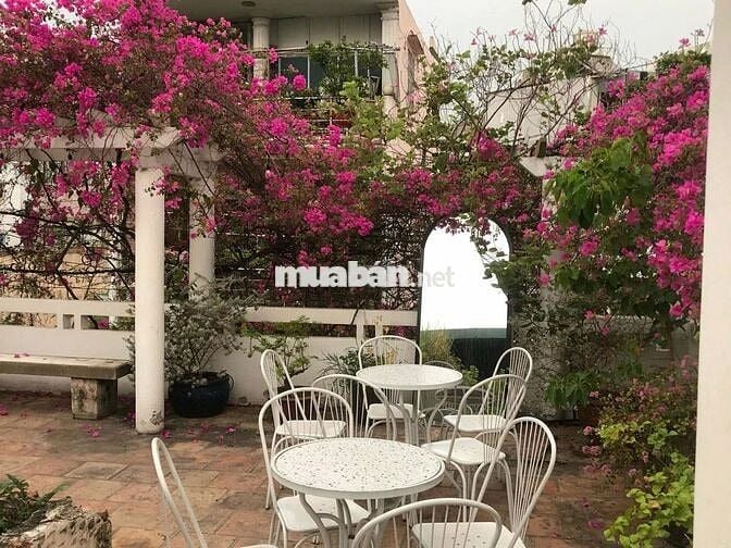 CHO THUÊ BIỆT THỰ CỔ QUẬN 3 CÓ SÂN VƯỜN SIÊU RỘNG