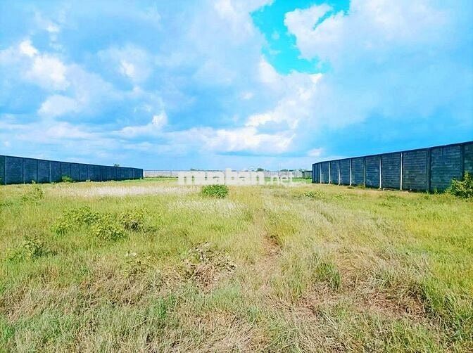 Cần bán 10698m đất Tân Bửu - Bến Lức