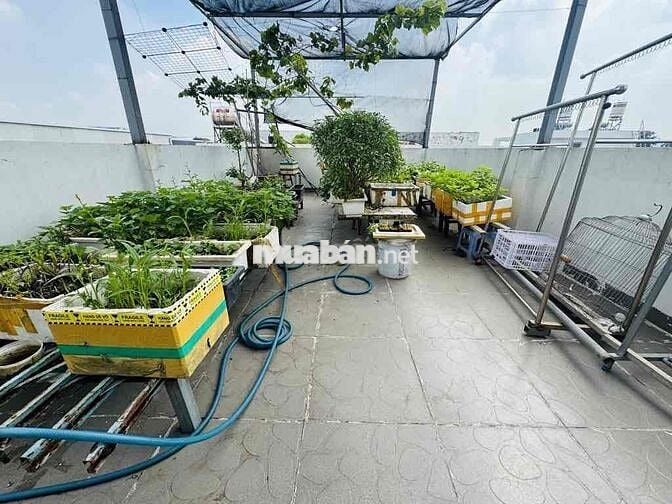 Nhỉnh 6 Ty - Trường Chinh TB, Xây 3 Tầng BTCT, Gần 70M2