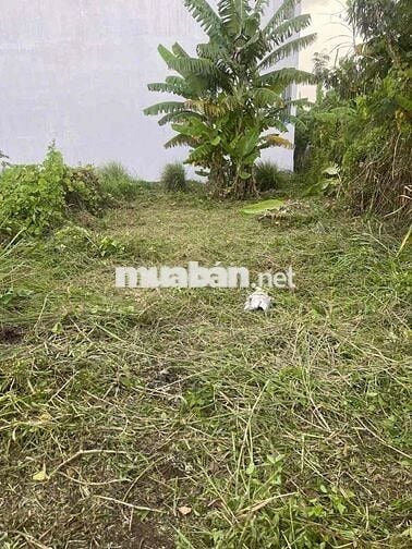 Đất đẹp full thổ phường 9 mỹ tho