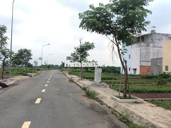 Bán đất thổ cư MTNB 8m VõThịPhải(Q.12). Sổ hồng (8x15)120m2. 7,5tỷ TL