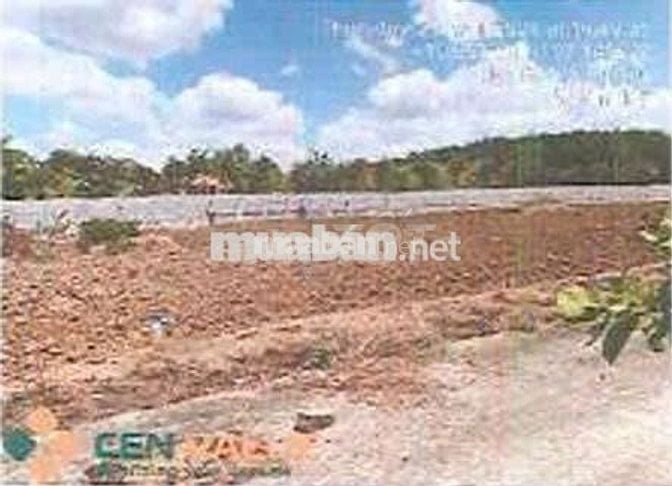Bán ĐGTS đất tại Ấp Cầu Ri, phường Tân Thành, TP. Hồ Chí Minh