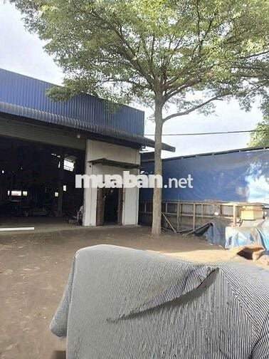 BÁN XƯỞNG ĐANG HOẠT ĐỘNG Ở TÂN HIỆP.HÓC MÔN DT LỚN FULL THỔ