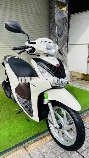 vision bstp chính chủ