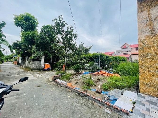 Cần bán lô đất 45,3m2 tại Cam Lộ 3, Hồng Bàng, Hải Phòng. 