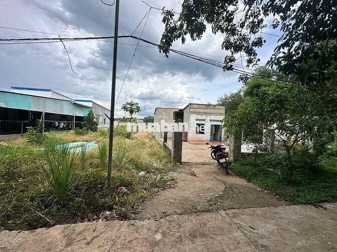 GIÁ RẺ THÌ K CÓ ĐẤT ĐÂU MẤY BÁC