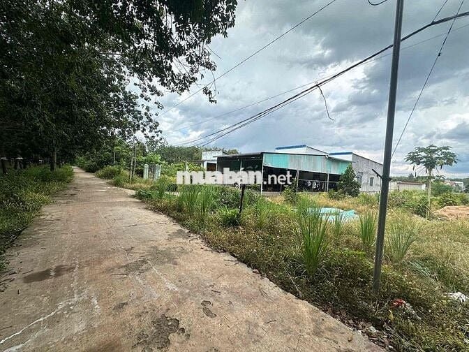 GIÁ RẺ THÌ K CÓ ĐẤT ĐÂU MẤY BÁC