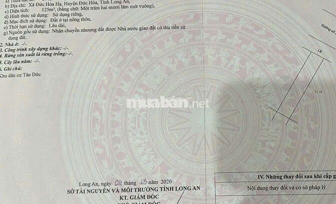 Cặp đất 10 x 25 (250m2 Full thổ) Mặt tiền nhựa 8m thông KDC Tân Đức