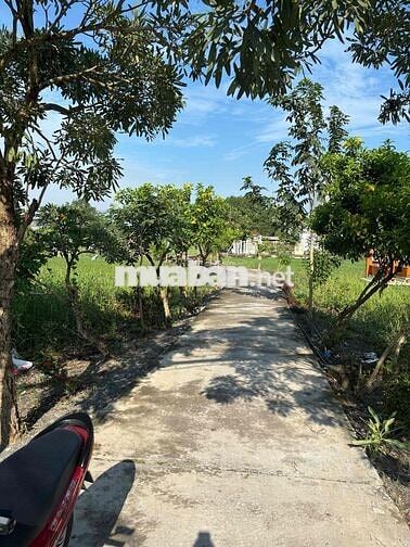 Chính chủ bán lô đất 2 mặt tiền xã Qui Đức,Bình Chánh