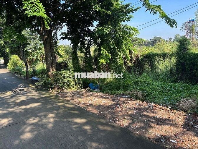 Chính chủ bán lô đất 2 mặt tiền xã Qui Đức,Bình Chánh