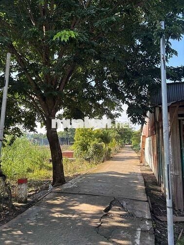 Chính chủ bán lô đất 2 mặt tiền xã Qui Đức,Bình Chánh