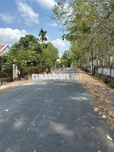 CCG SANG NHƯỢNG GẤP ĐẤT THỔ 192m2 THỊ TRẤN CỦ CHI