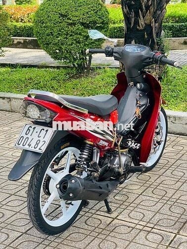 sirius bông mai biển 61