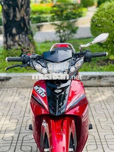 sirius bông mai biển 61