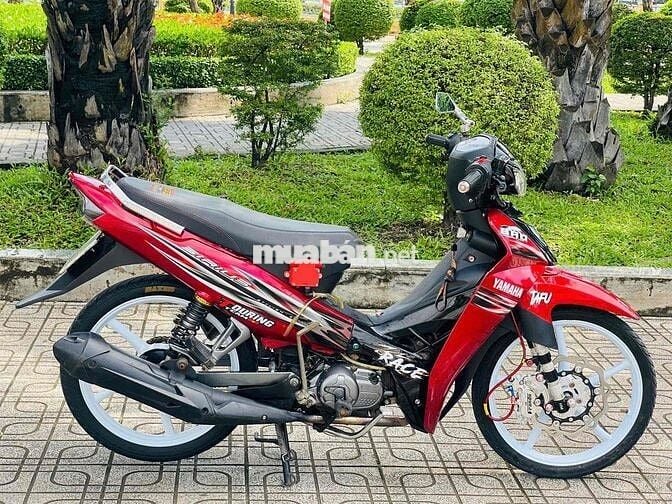 sirius bông mai biển 61