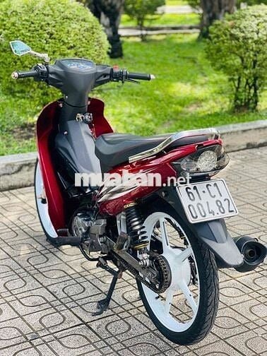sirius bông mai biển 61