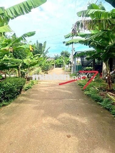 5x20 FULL THỔ CƯ, KHU DÂN CƯ, ĐƯỜNG BÊ TÔNG, GIÁ CHỈ 520TR