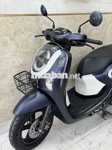 Scoopy mẫu mới 5-2025 mới 100% 43AA-745.28