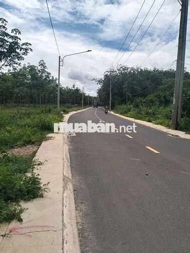 Chính chủ cần bán nhanh lô đất Đ.NA4, Thới Hòa mà giá chỉ 780 triệu.