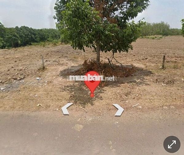 Đất Mặt Tiền DH504 Giá Rẻ, diện tích 400m2 (10x40), Sổ Hồng Riêng
