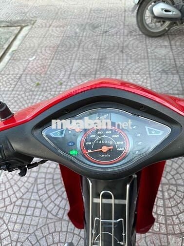 anpha 100 zin dep vĩnh long