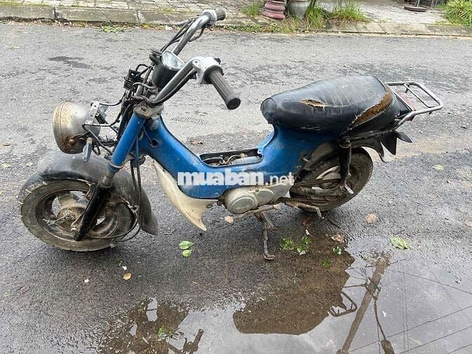 Chaly 81 giấy tờ đầy đủ, 49cc ko cần bằng lái