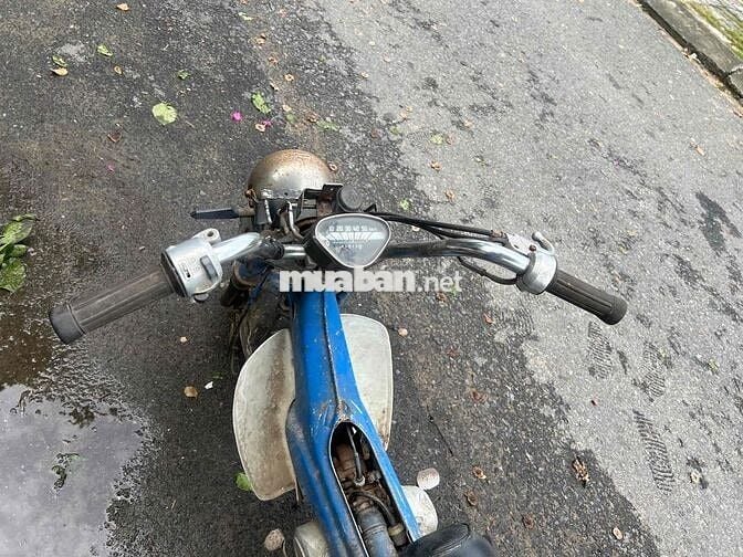 Chaly 81 giấy tờ đầy đủ, 49cc ko cần bằng lái