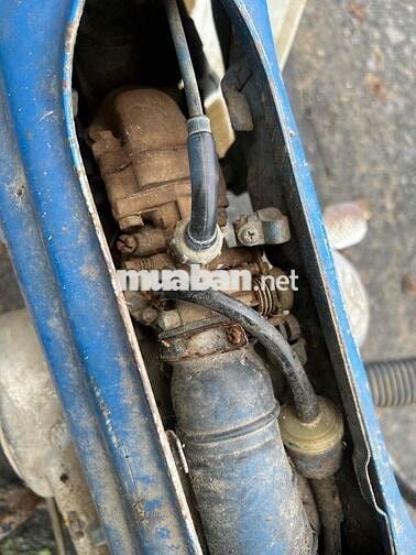 Chaly 81 giấy tờ đầy đủ, 49cc ko cần bằng lái