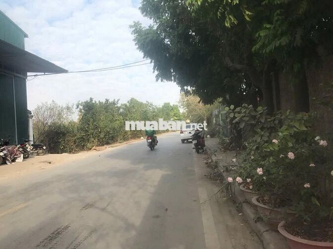 CHO THUÊ KHO XƯỞNG 300M² - BIÊN GIANG - HÀ ĐÔNG - GIÁ CHỈ 70K/M²