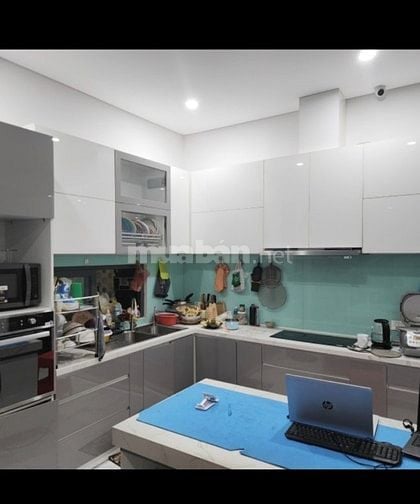 Bán biệt thự khu Kiều Đàm Tân Hưng Q7 dt 8x15m 5 tầng chỉ 22,5 tỷ.