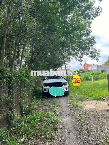 Đất Lộc Chánh - Lộc Hưng, Trãng Bàng,TN,  5x30m, full thổ, 560tr