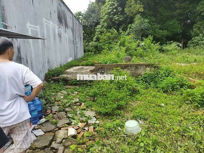 Đất xây nhà Long Khánh 115m² – hẻm rộng, yên tĩnh, giá hợp lý