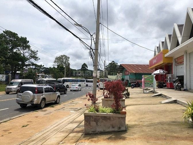Cho thuê Villa MT Mai Anh Đào, P.8, Đà Lạt. DT 10x8m Hầm 3L. Giá 45tr