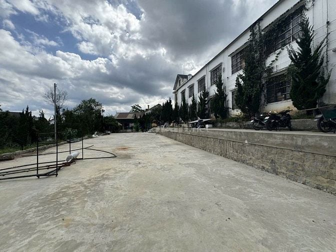 Cho thuê Villa MT Mai Anh Đào, P.8, Đà Lạt. DT 10x8m Hầm 3L. Giá 45tr