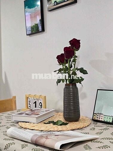 CĂN HỘ DUPLEX CỬA SỔ TRỜI THOÁNG FULL NỘI THẤT NGAY ÂU CƠ 🔥🔥🔥