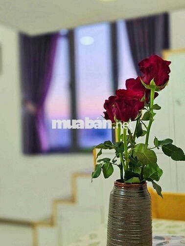 CĂN HỘ DUPLEX CỬA SỔ TRỜI THOÁNG FULL NỘI THẤT NGAY ÂU CƠ 🔥🔥🔥